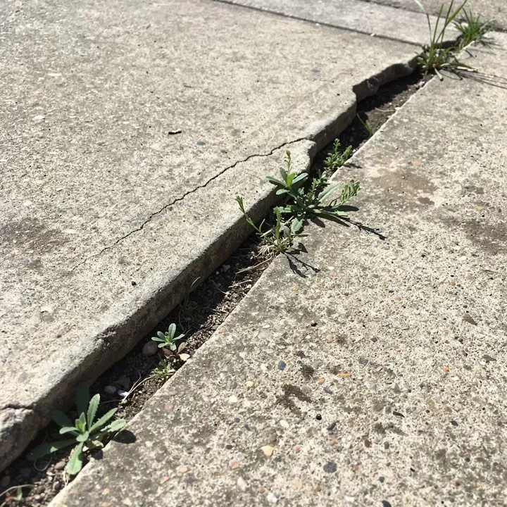 Cracked and uneven concrete sidewalk slab showing common wear and settling damage.