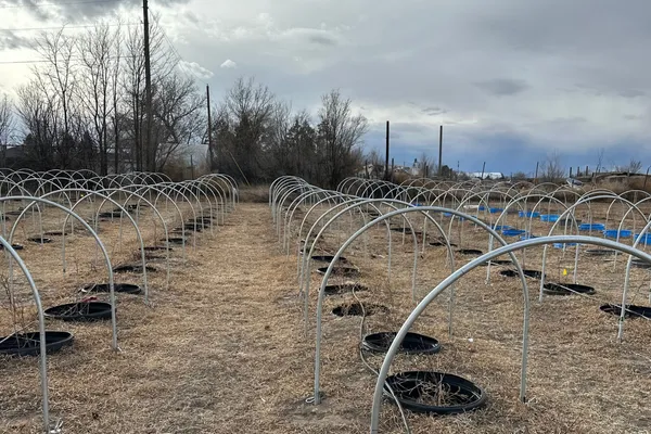 Working the Weather: January at WeeShire Mains