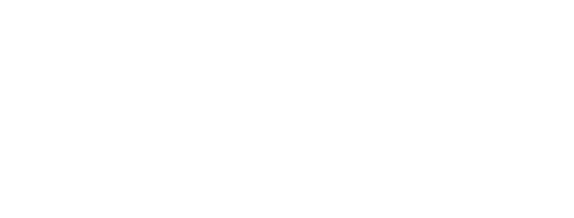 Success Team Coaching