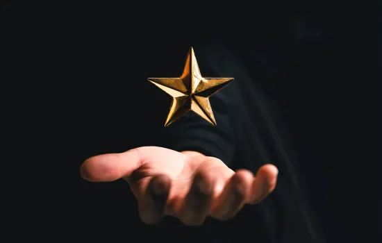 Reputation Management Services