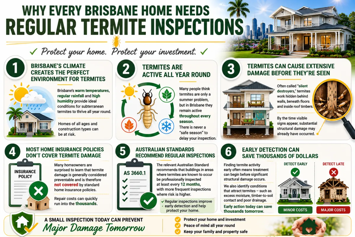 Brisbane's Climate Creates the Perfect Environment for Termites Brisbane's warm temperatures, regular rainfall and relatively high humidity provide ideal conditions for subterranean termites to thrive throughout the year. Unlike cooler parts of Australia, termite activity in South East Queensland does not stop during winter. Homes of all ages and construction types can be affected, making ongoing inspections an important part of property maintenance. Termites Are Active All Year Round Many people think termites are only a problem during summer, but in Brisbane they remain active throughout every season. While activity may slow slightly during cooler months, termite colonies continue searching for food and moisture. This means there is never a "safe season" to delay your annual termite inspection. Termites Can Cause Extensive Damage Before They're Seen Often called "silent destroyers," termites usually work behind walls, beneath floors and inside roof timbers where they remain hidden from view. They consume timber from the inside out, leaving the outer surface looking intact. By the time visible signs appear, substantial structural damage may already have occurred. Most Home Insurance Policies Don't Cover Termite Damage Many homeowners are surprised to learn that termite damage is generally considered preventable and is therefore not covered by standard home insurance policies. Repair costs can quickly run into the thousands, making regular inspections and preventative termite management a worthwhile investment in protecting your property. Australian Standards Recommend Regular Termite Inspections The relevant Australian Standard recommends that buildings in areas where termites are known to occur be professionally inspected at least every 12 months, with more frequent inspections where environmental conditions, construction type or previous termite activity increase the risk. Regular inspections improve the chances of detecting termite activity early and identifying conditions that may lead to future infestations. Early Detection Can Save Thousands of Dollars Finding termite activity early often means treatment can begin before significant structural damage occurs. During an inspection, we don't just look for active termites—we also identify conditions that could attract them, such as excessive moisture, timber-to-soil contact and poor drainage. Addressing these issues early can help reduce future risk and avoid costly repairs.