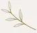 Left leaf accent