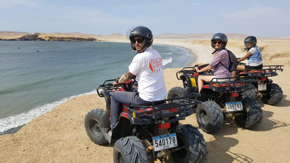 ATVs and Go Karts