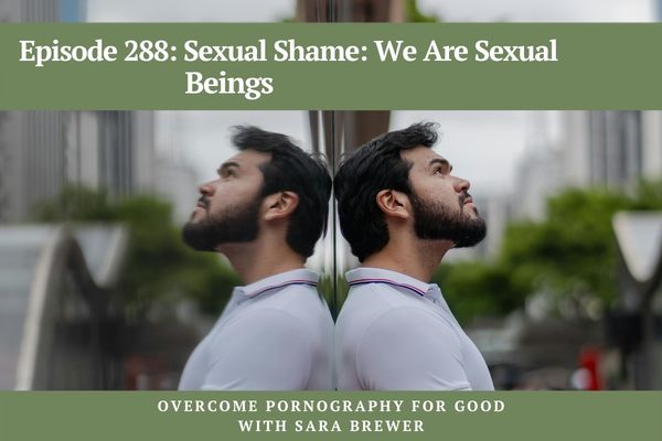 Episode 288: Sexual Shame: We Are Sexual Beings