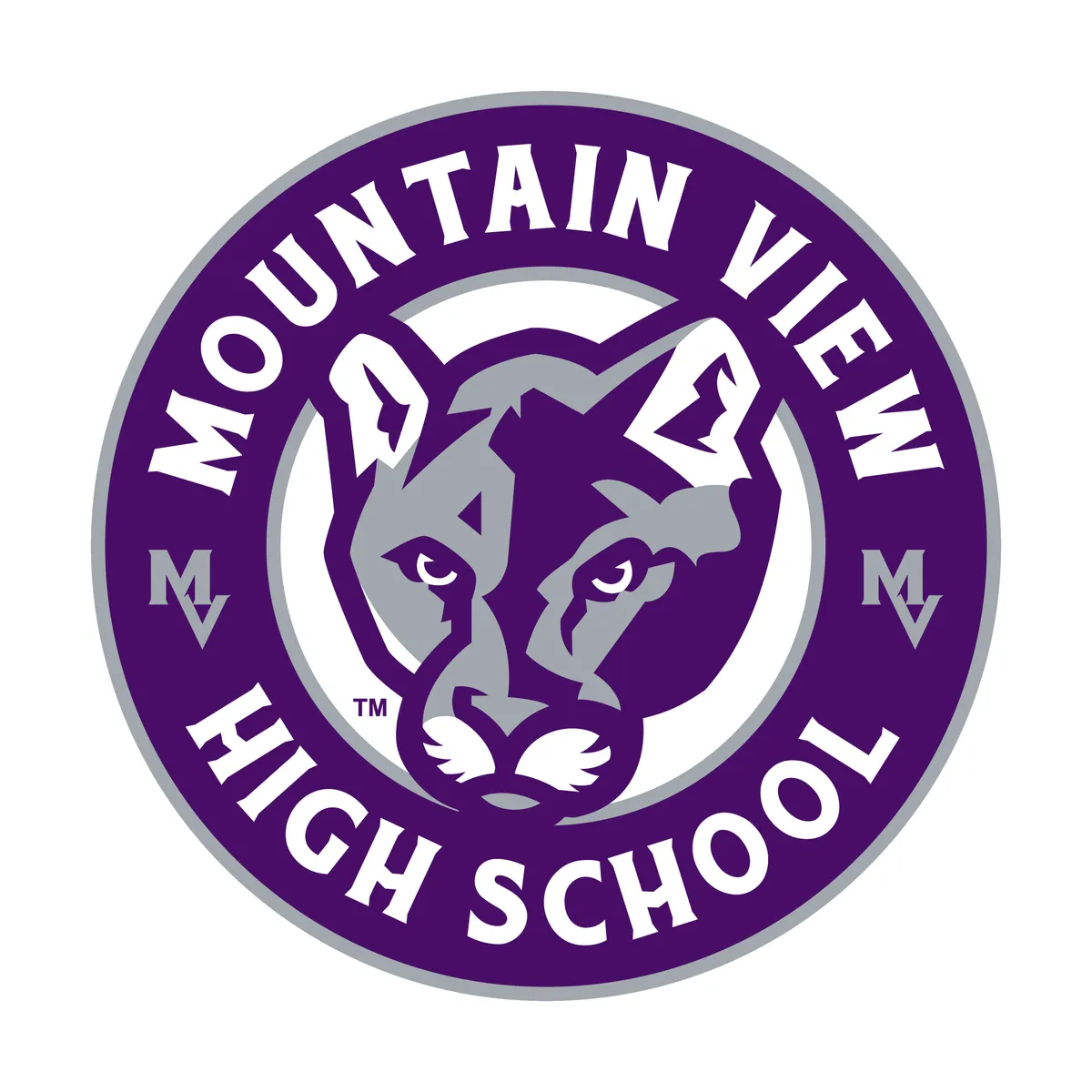 School Mascot