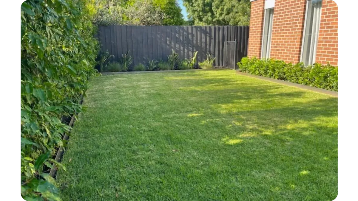 A landscaping transformation