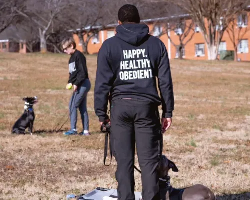 professional dog trainer raleigh