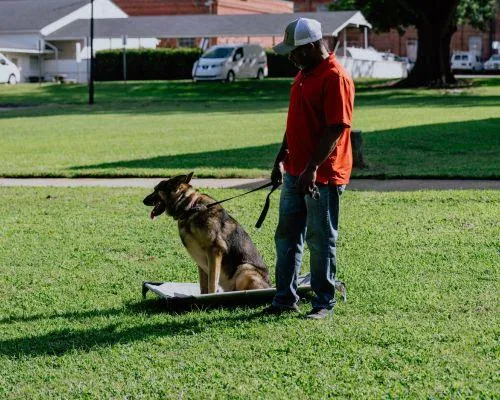 Service dog training near me Raleigh