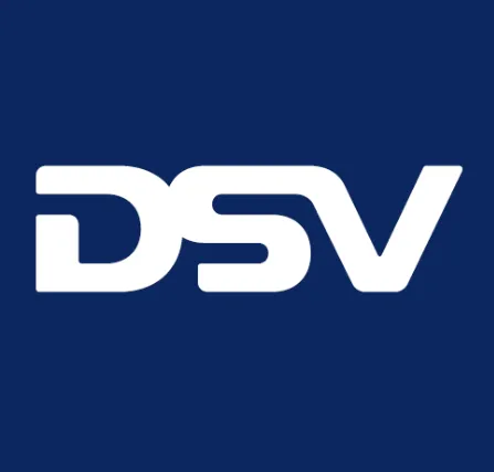 ReLAUNCH Advisors DSV Testimonial