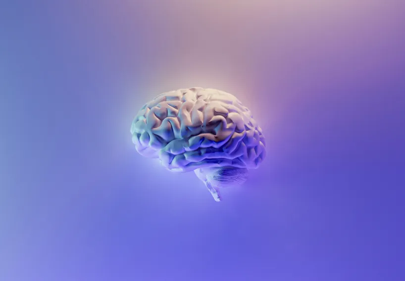 a close up of a human brain on a white background