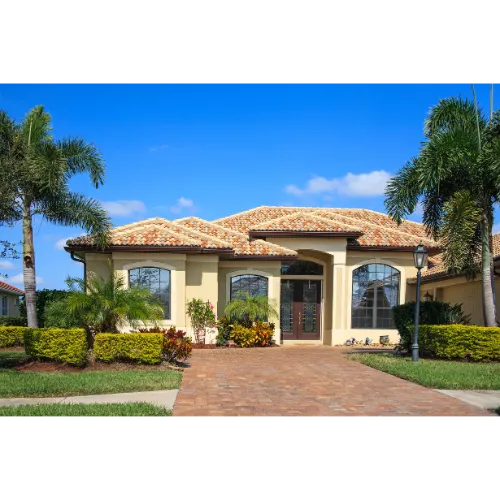 house with stucco and two palm trees