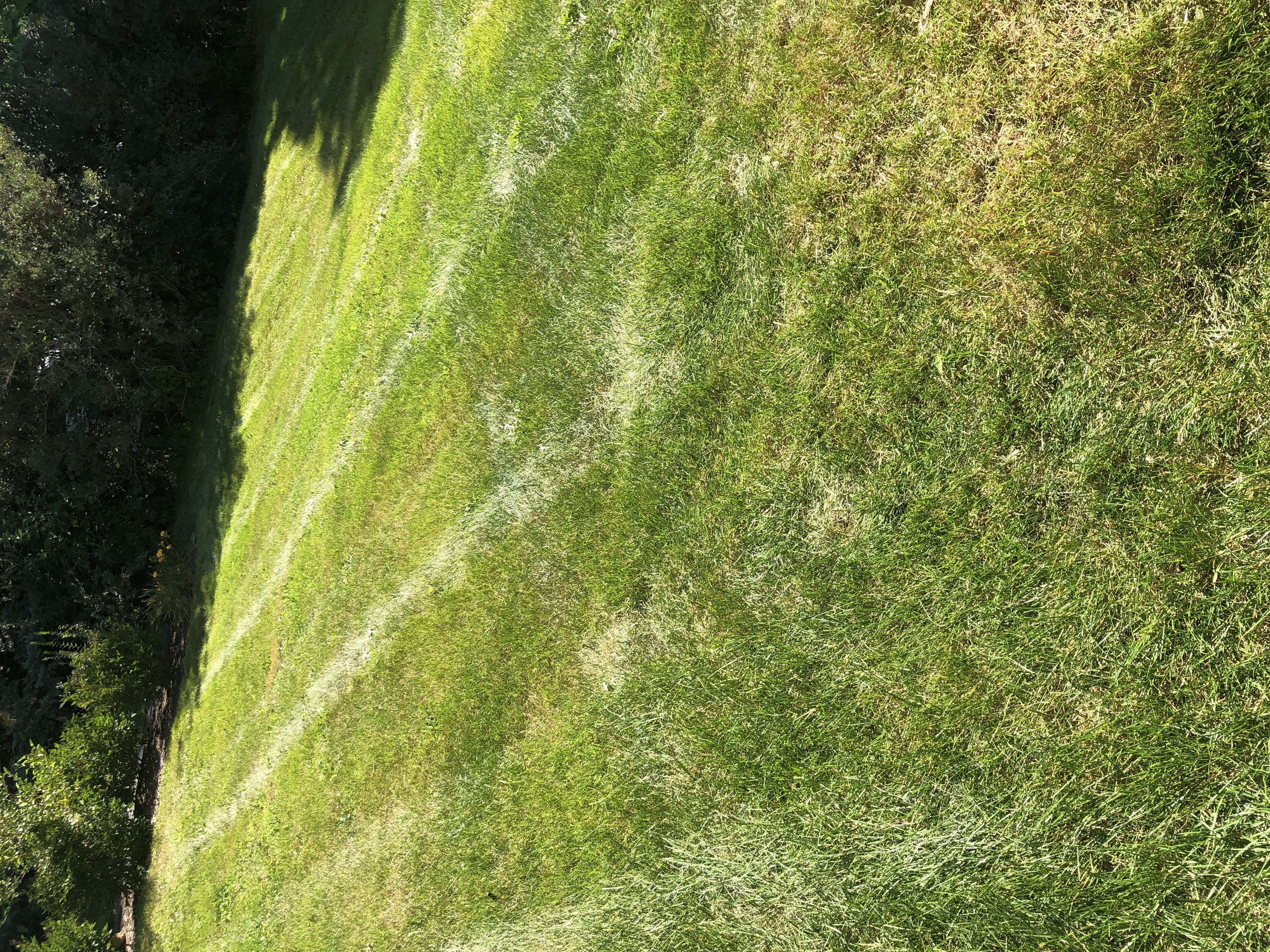 Lawn maintenance service mowing a residential yard in Joliet