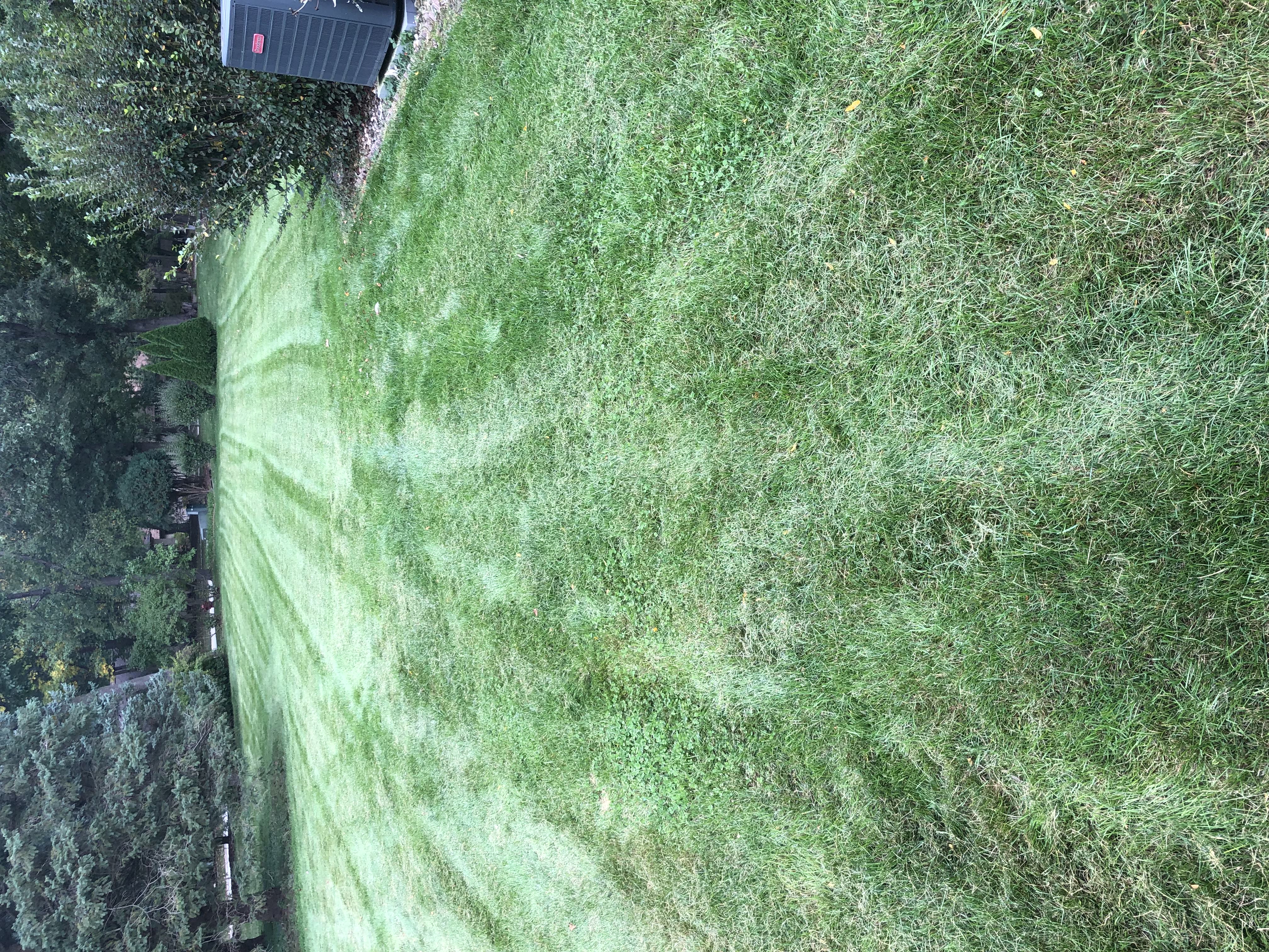 Lawn maintenance service mowing a residential yard in Joliet