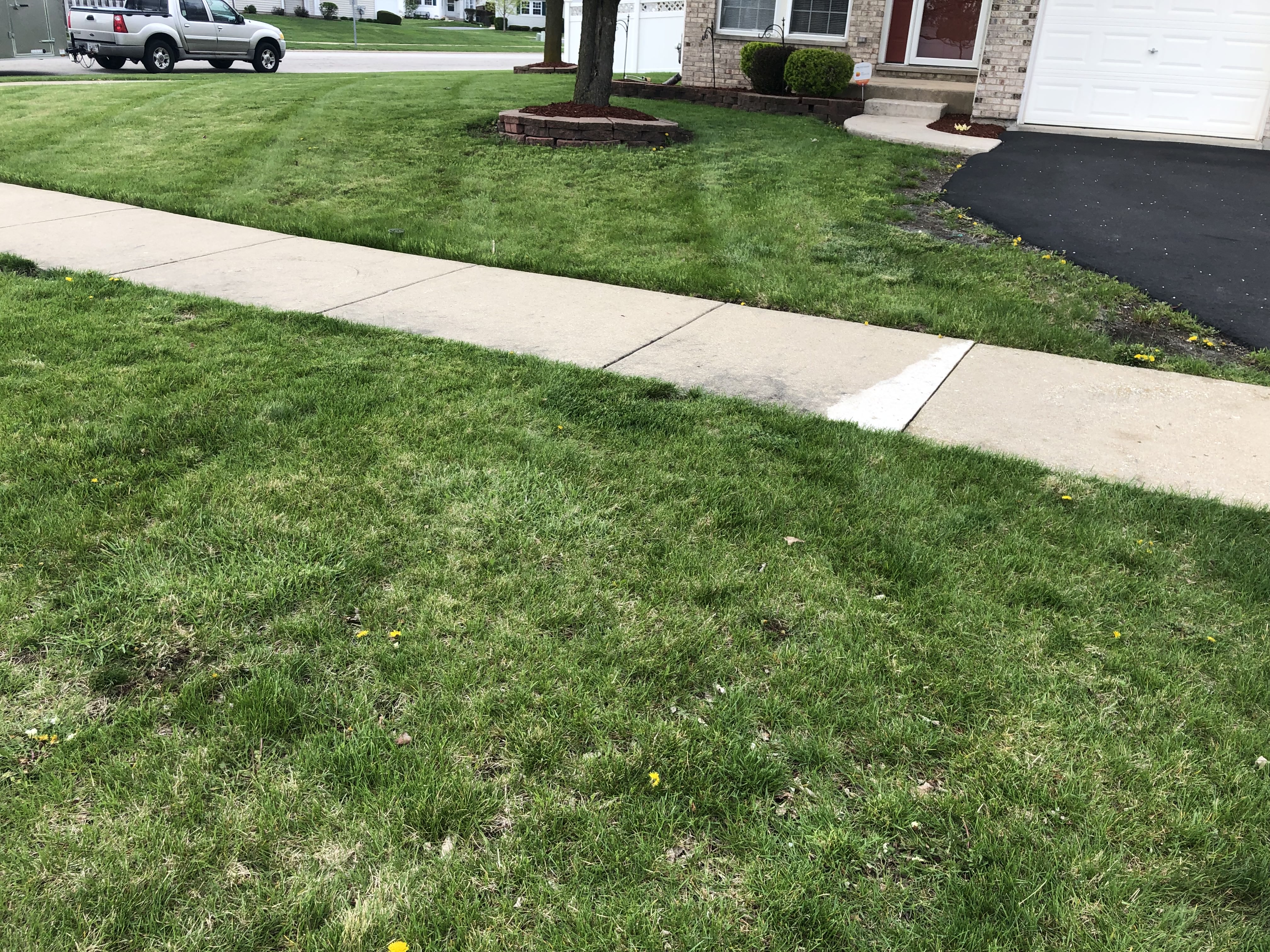 Front Yard freshly cut in residential home
