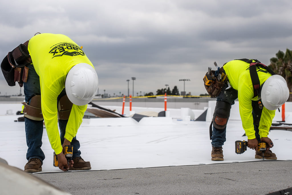 De Luz Construction Coating Systems