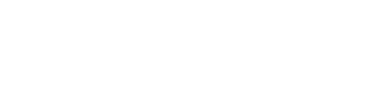ducks in a row Logo