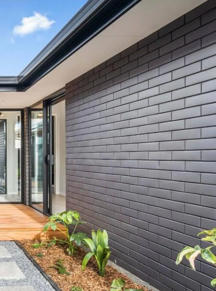 Modern painted brick home exterior with smooth black finish and landscaped entryway