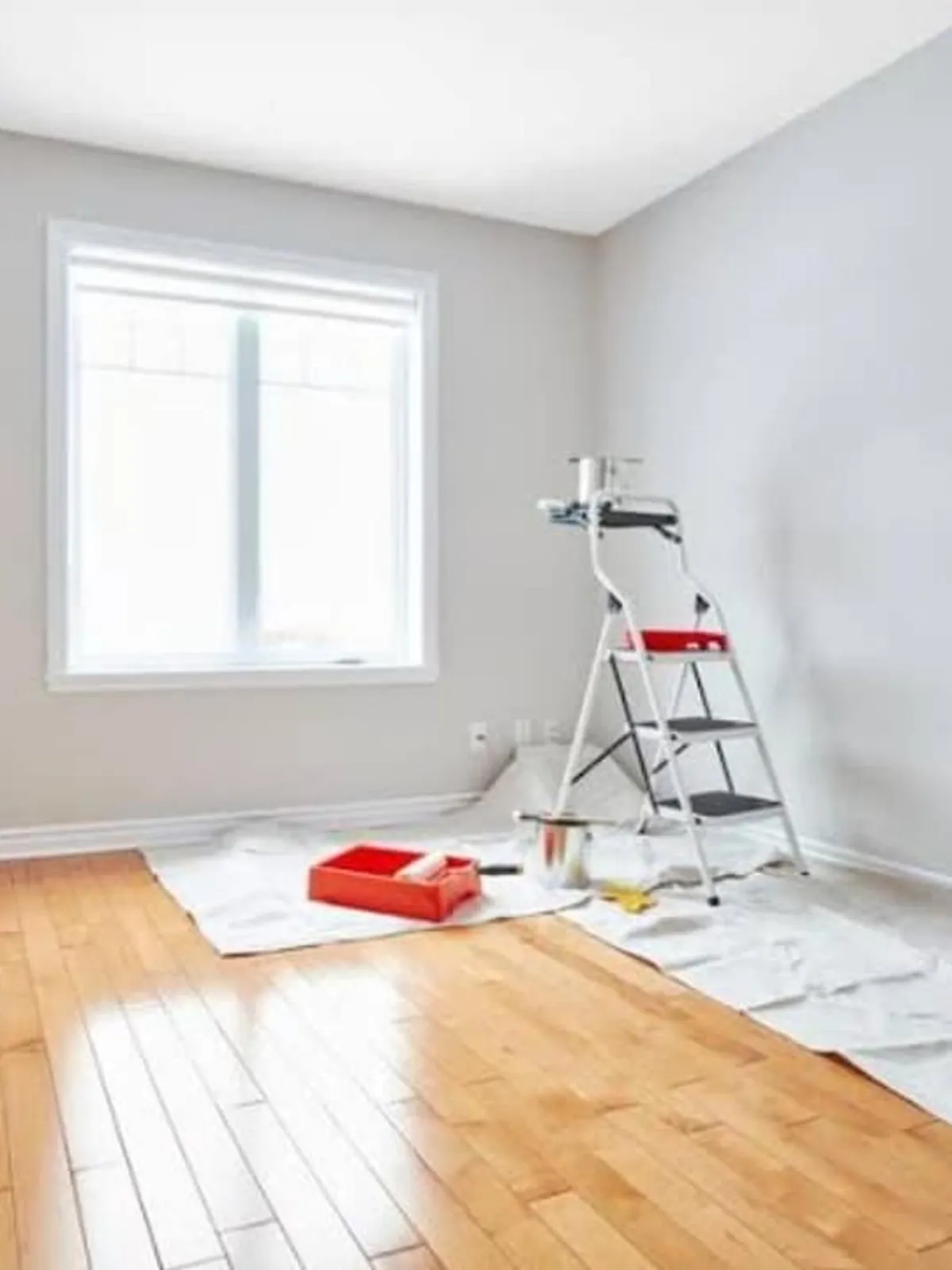 Interior painting setup in Hamilton home with grey walls, ladder, and roller tray on drop cloth