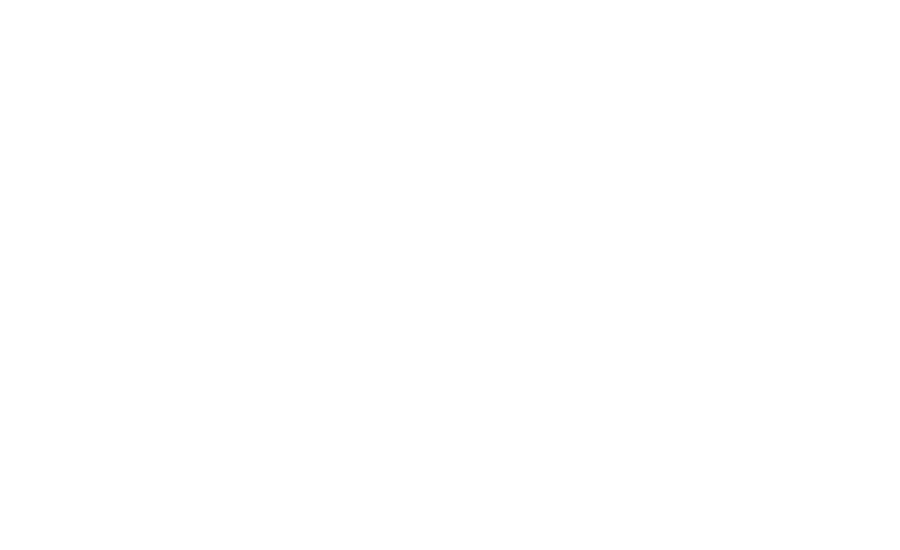 Vanity Esteem logo