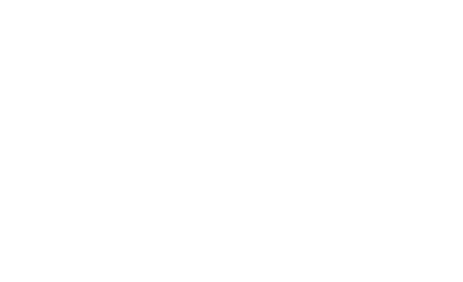 Vanity Esteem logo