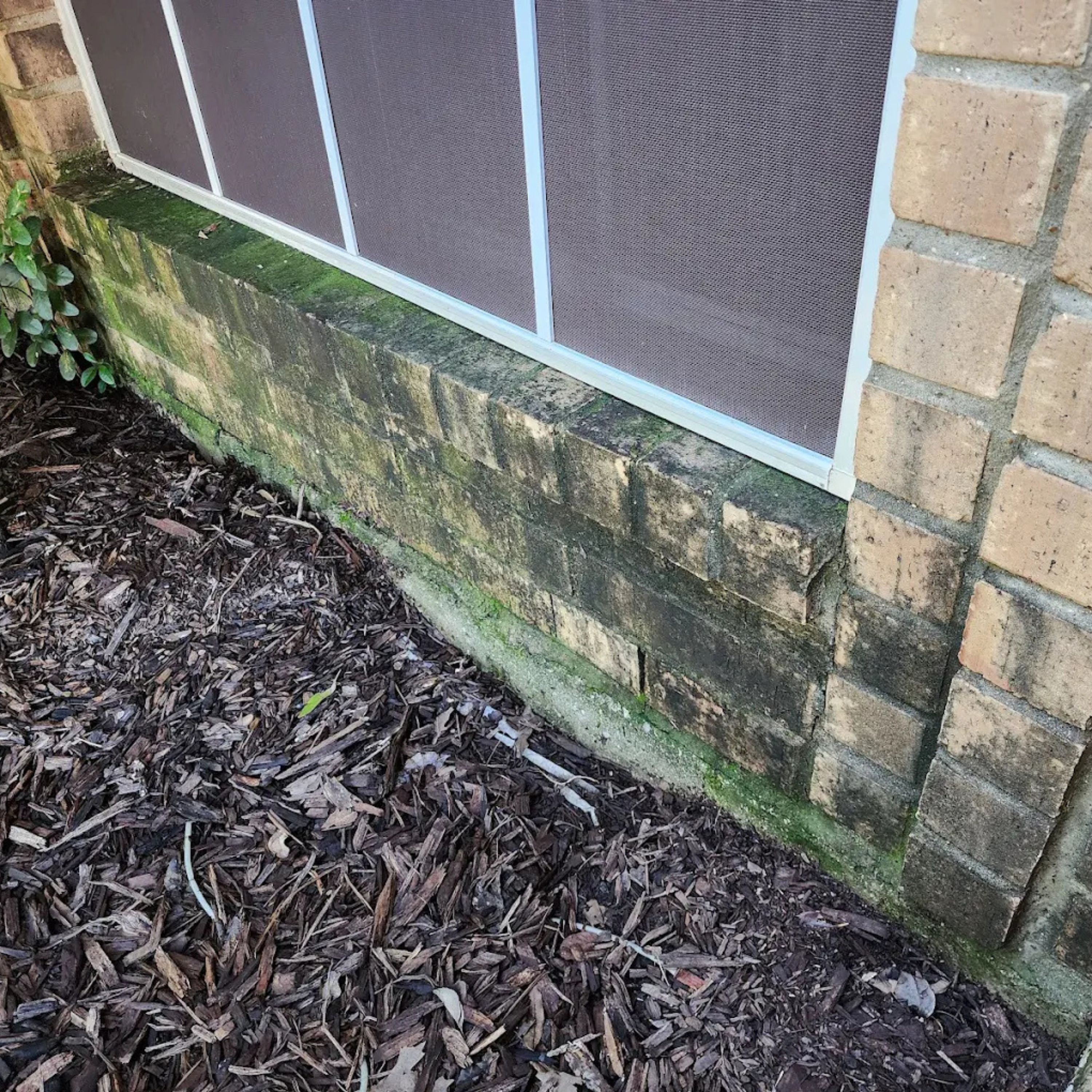 House Washing Frisco