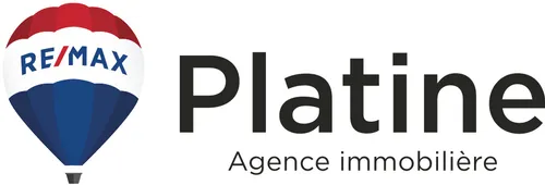 REMAX Platine