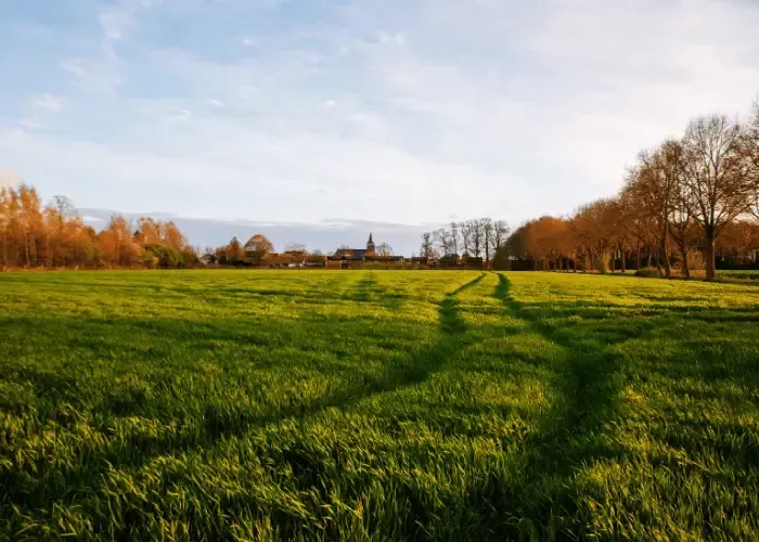 Ideal Protein in Gainesville near New Holland