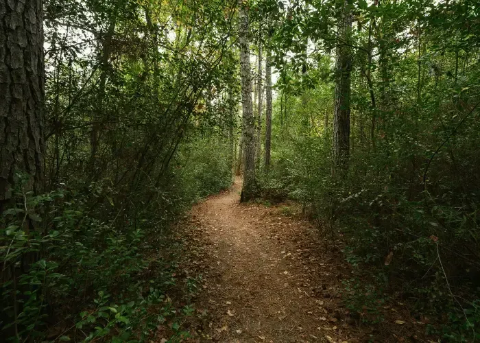 Ideal Protein in Gainesville near Northeast Georgia History Center
