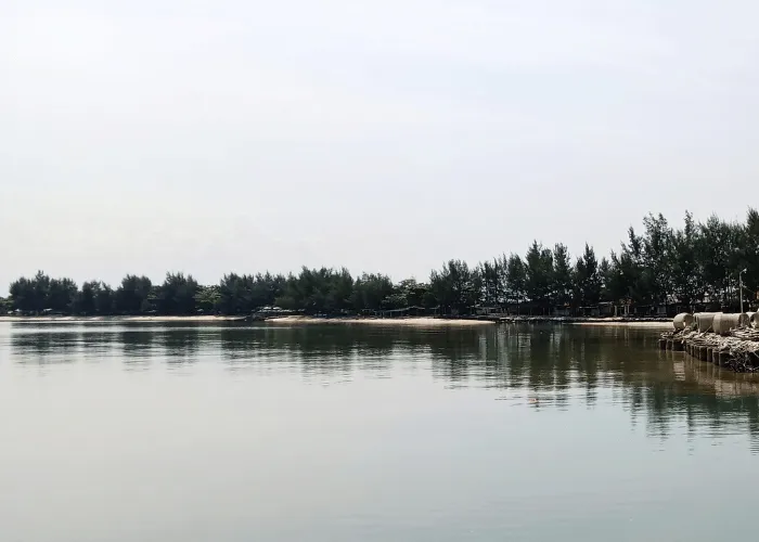 foods for weight loss Gainesville GA