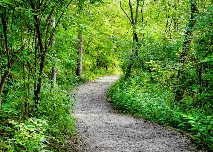 Ideal Protein in Gainesville near Wilshire Trails