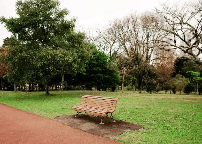 Dr. Peña weight loss clinic near Gainesville Square wellness district GA