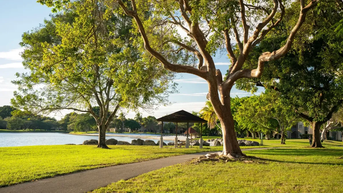 Chiropractic for Back Pain in Lawrenceville near Sweet Water Park