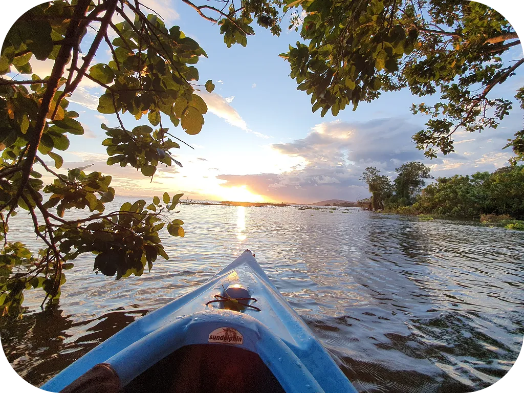 Group Tours / Events 