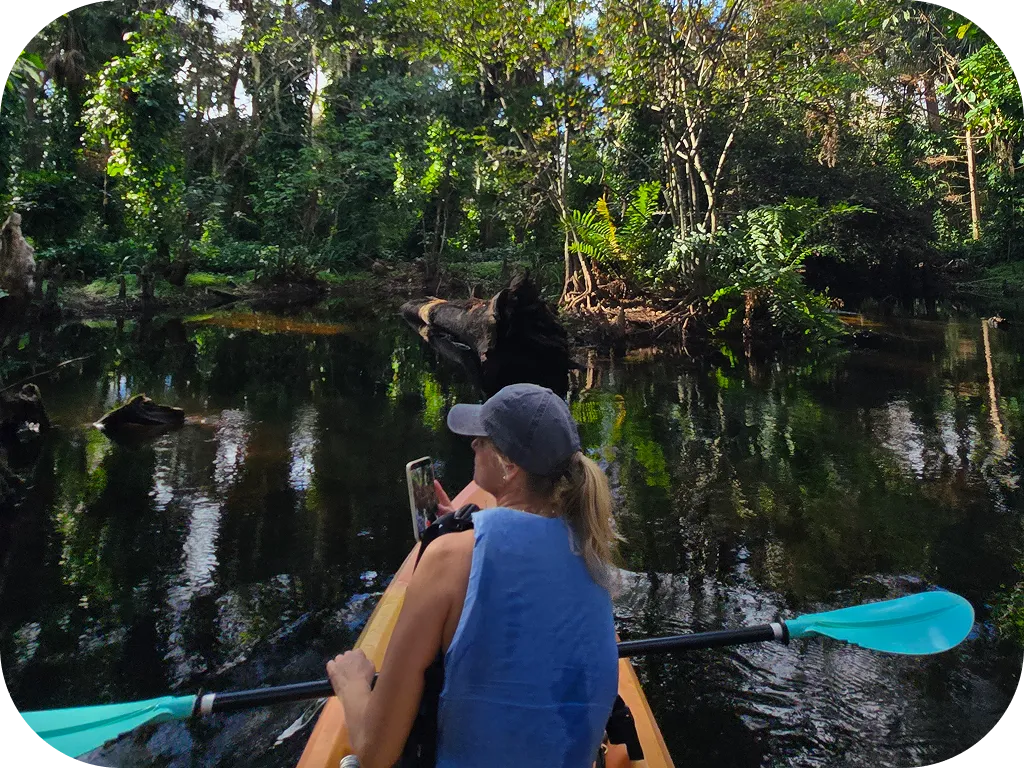 Guided Kayak Tours 