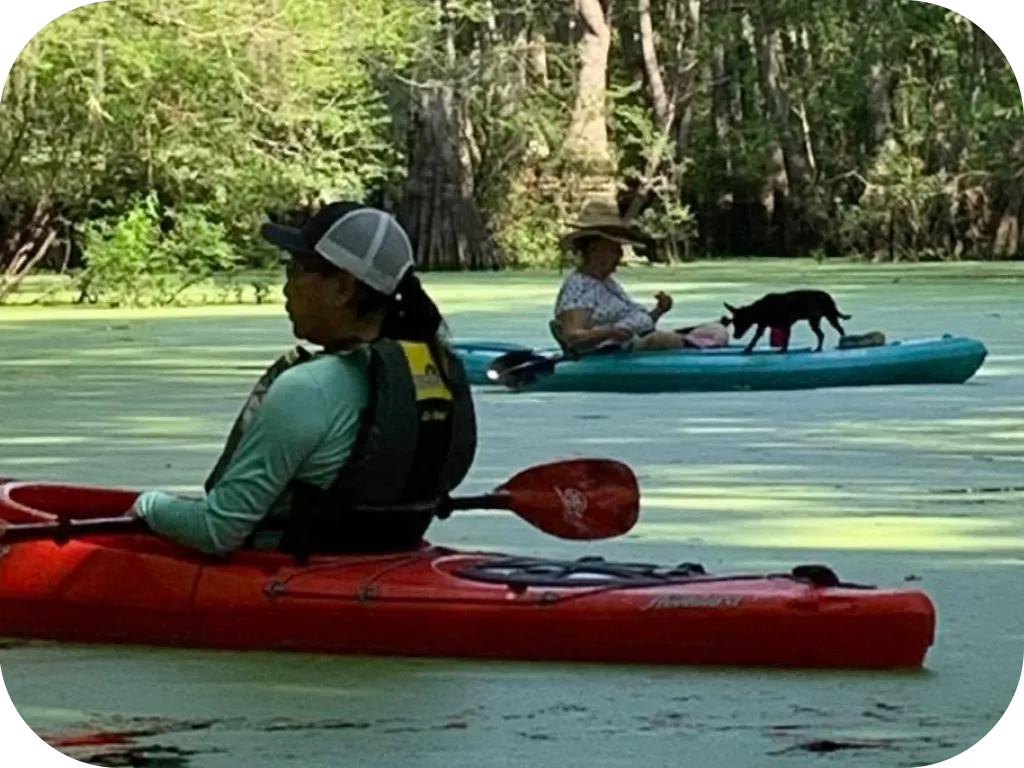 Lessons, Training & Educational Programs 