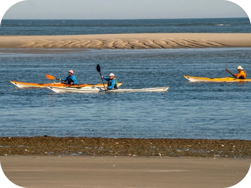 Isle of Hope Kayak Rentals
