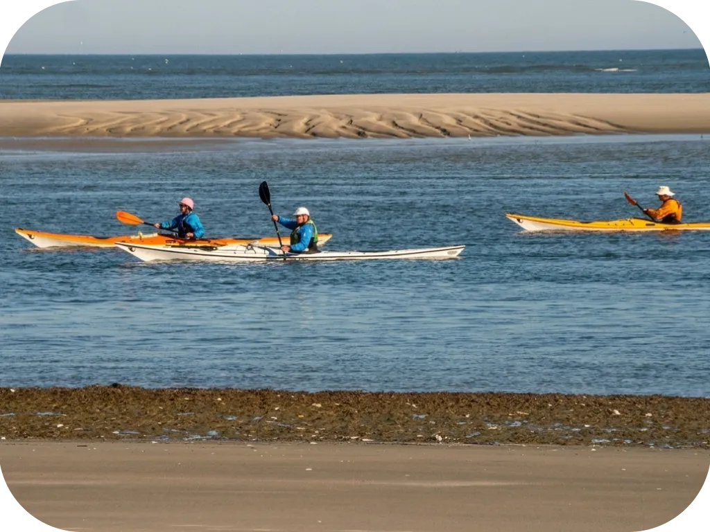 Tybee Island Guided Kayak Tours