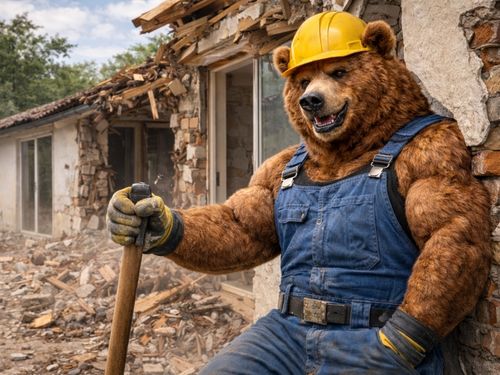 Bungalow Abriss in Berlin