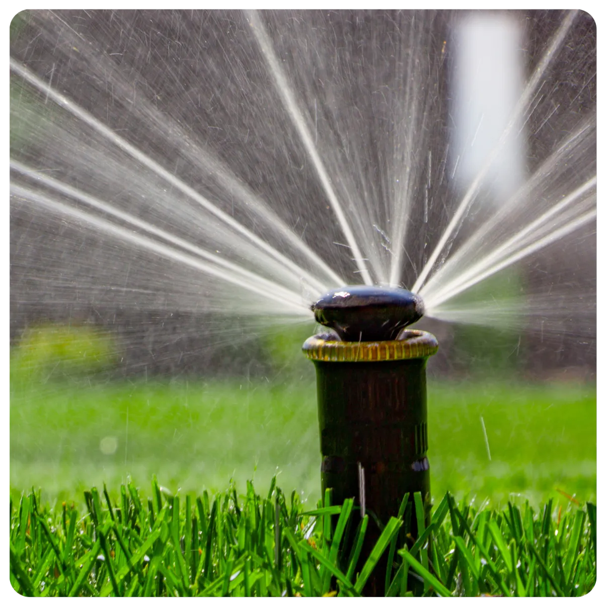 Automated irrigation sprinklers hydrating lawn efficiently, preventing water waste with precision technology for Maritime yards.