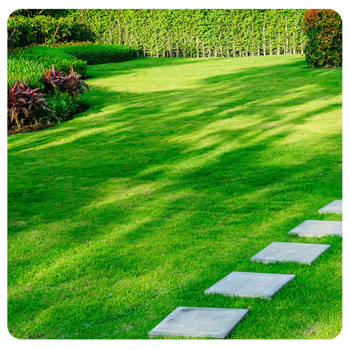 Lush, green residential lawn maintained by professional smart irrigation system, showcasing water-saving results in Halifax, Nova Scotia.