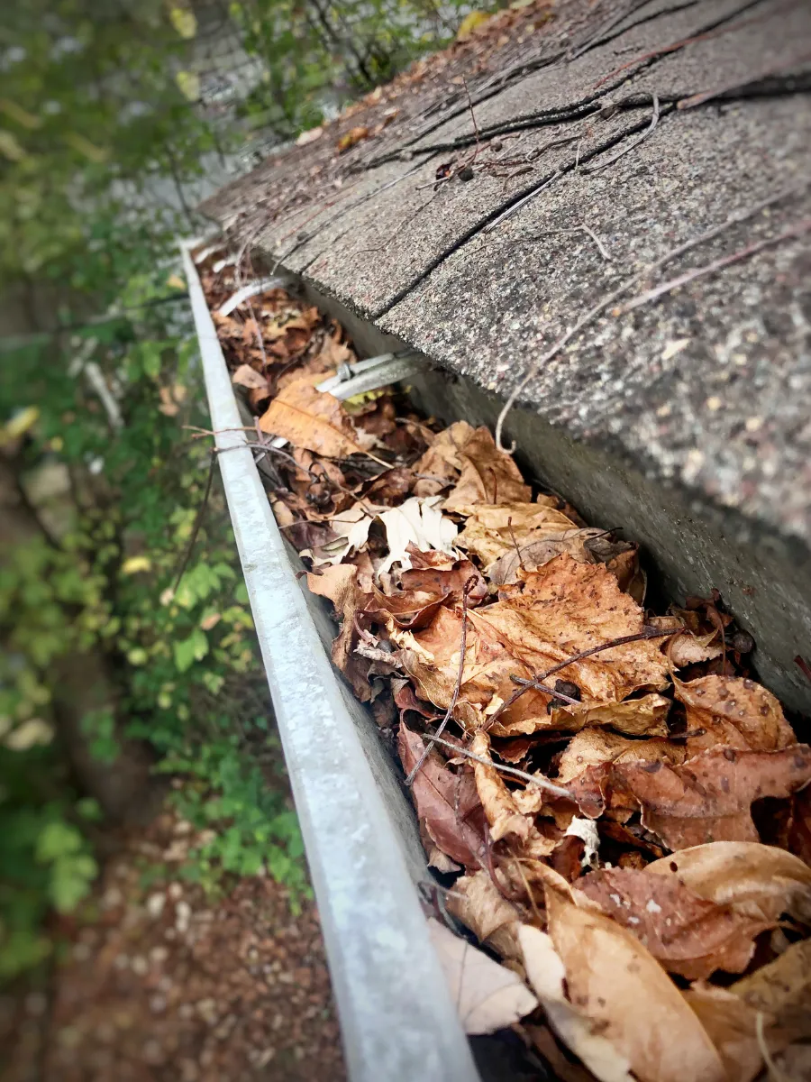 Canton Township Gutter Cleaning