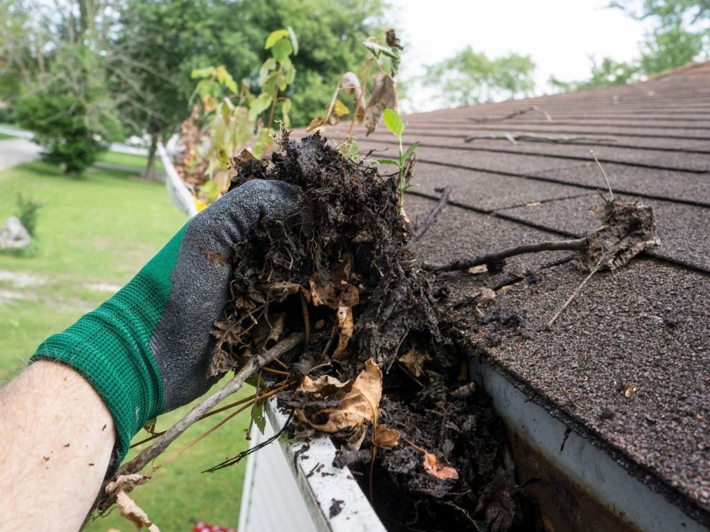 Gutter Cleaning in Canton Township