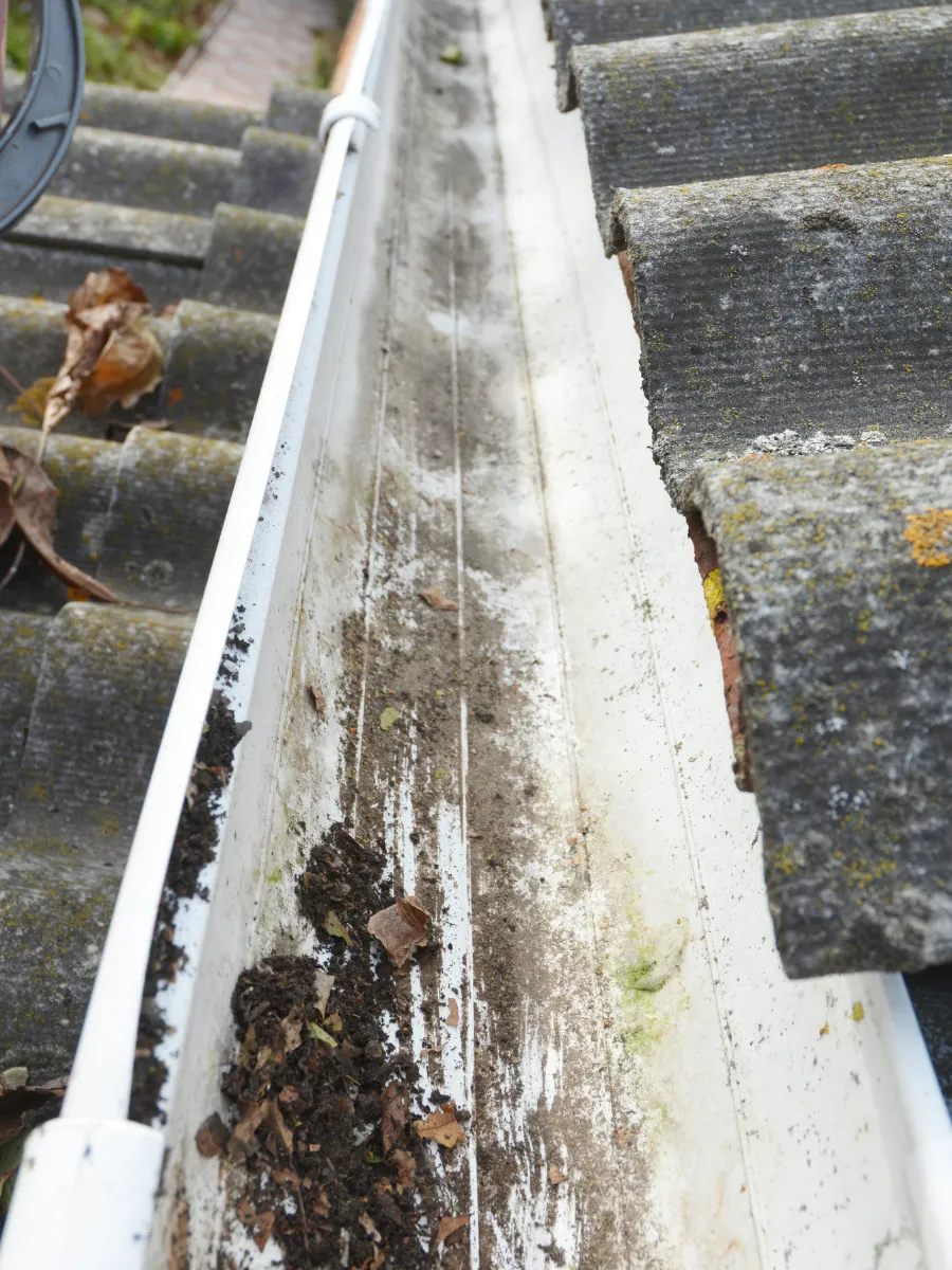  Gutter Cleaning