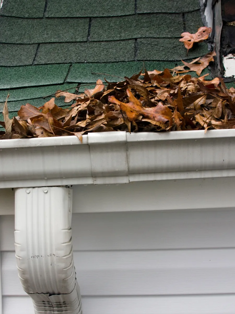 Canton Township Gutter Cleaning