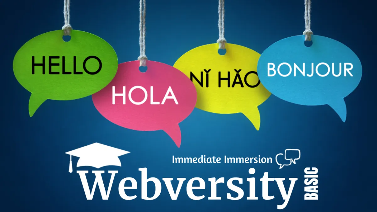 Webversity Masterclass