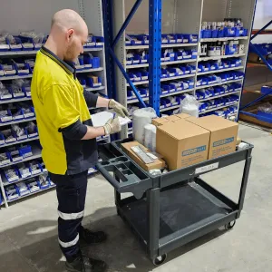 warehouse employee wearing safety gear stands beside a grey utility trolley filled with boxes and supplies, reviewing paperwork in an aisle with organised blue bins on metal shelving.