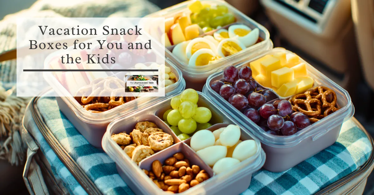 🧺 Vacation Snack Boxes for You and the Kids 