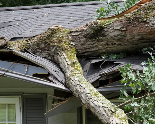 Storm Damage Restoration in Bucks County