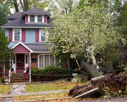 Roofing Services