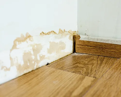Montgomery County Storm Damage Restoration